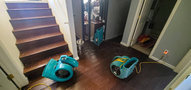 Best Professional water damage repair  in Cross Lanes, WV