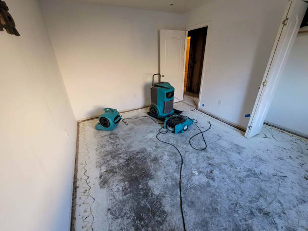 Best Flood damage cleanup  in Cross Lanes, WV