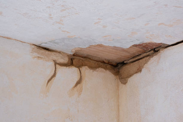 Best Water damage restoration insurance claims  in Cross Lanes, WV