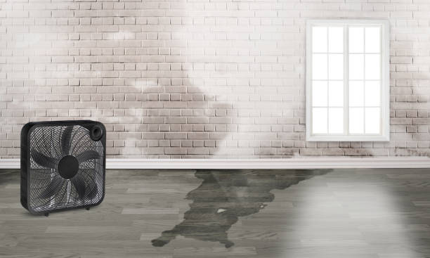 Best Fire Damage Restoration  in Cross Lanes, WV