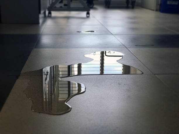 Best 24/7 water damage repair  in Cross Lanes, WV