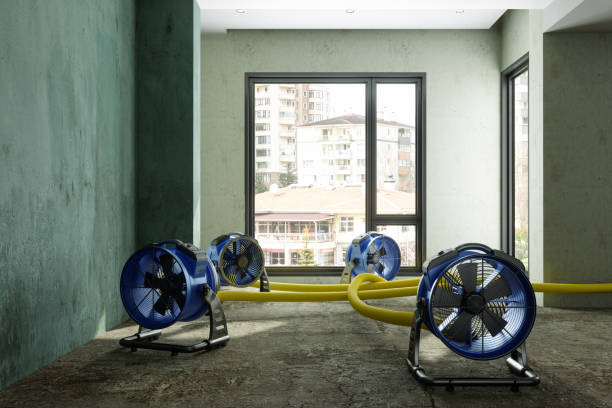 Best Water damage restoration specialists  in Cross Lanes, WV