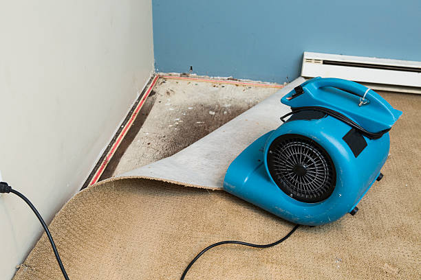 Best Residential water damage restoration  in Cross Lanes, WV